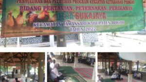 Desa Sukajaya Gelar Pelatihan Dan Penyuluhan Ketahanan Pangan Tahun Anggaran 2022 Desa Sukajaya Gelar Pelatihan Dan Penyuluhan Ketahanan Pangan Tahun Anggaran 2022