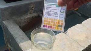 limbah sludge, pengelolaan limbah industri, PT. Kharisma Printex