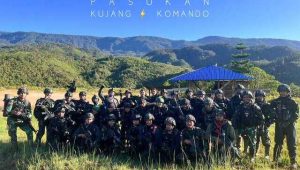 Satgas Yonif 310/KK, Kelompok Separatis Teroris, Papua Pedalaman, Penangkapan Teroris